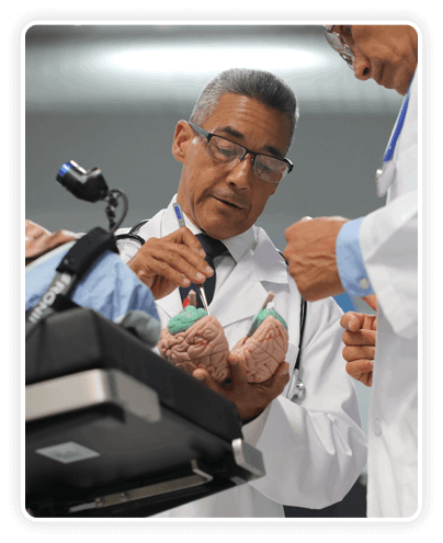 the-brain-song-program